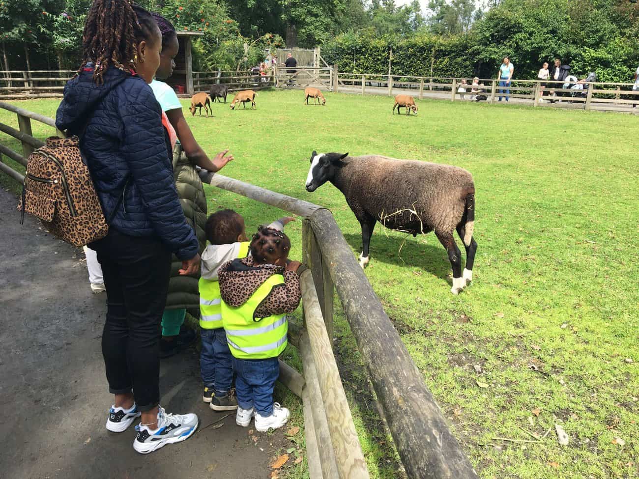Image of family at Blair Drummond
