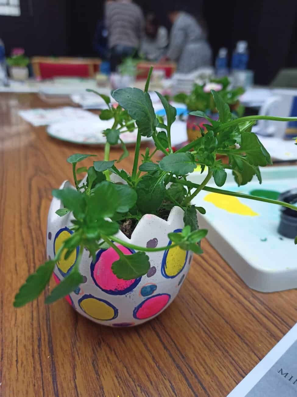 Image of a little plant in a colourful egg shaped pot.